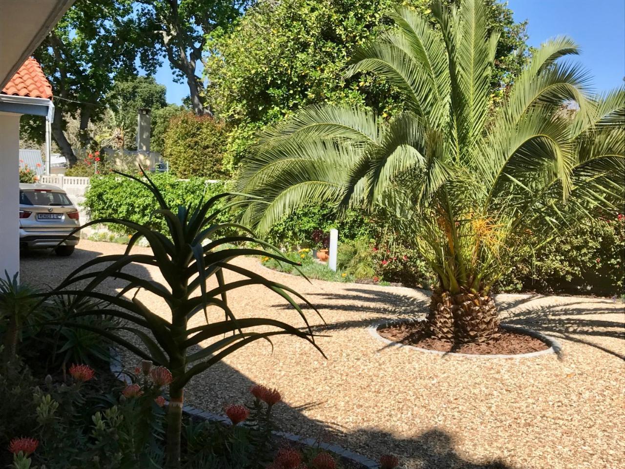 Grenadilla (Adults Only) Apartment Constantia Exterior foto