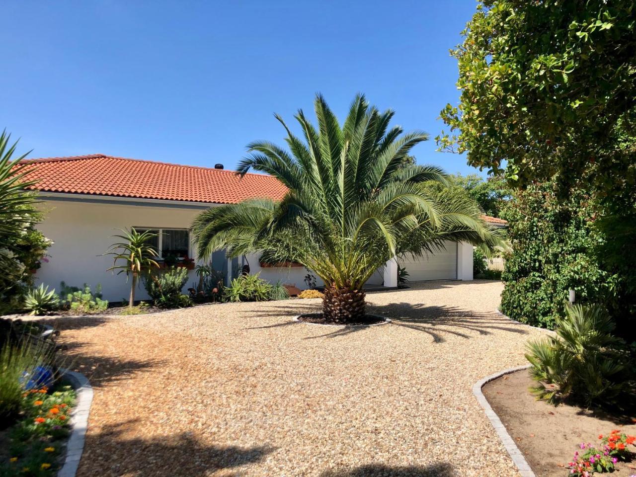 Grenadilla (Adults Only) Apartment Constantia Exterior foto